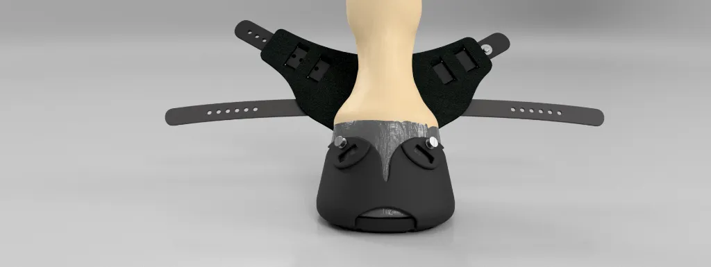 SAFE HP - assets 3D animation hipposandale -2.webp