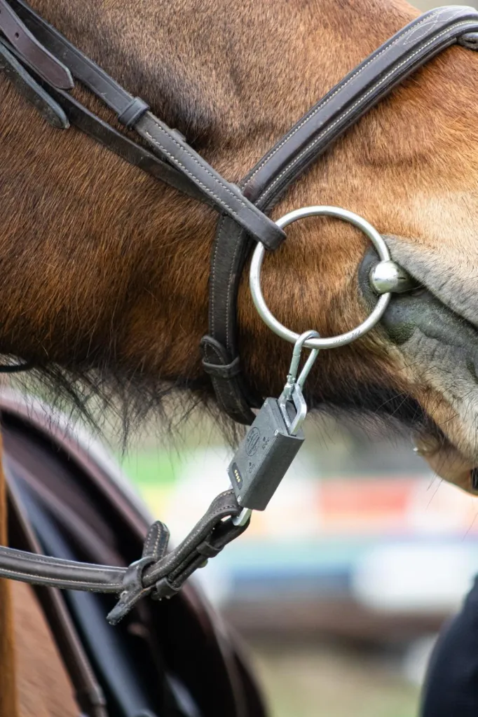 Ally Flow - Capteur de rêne seule (Droit (rouge))