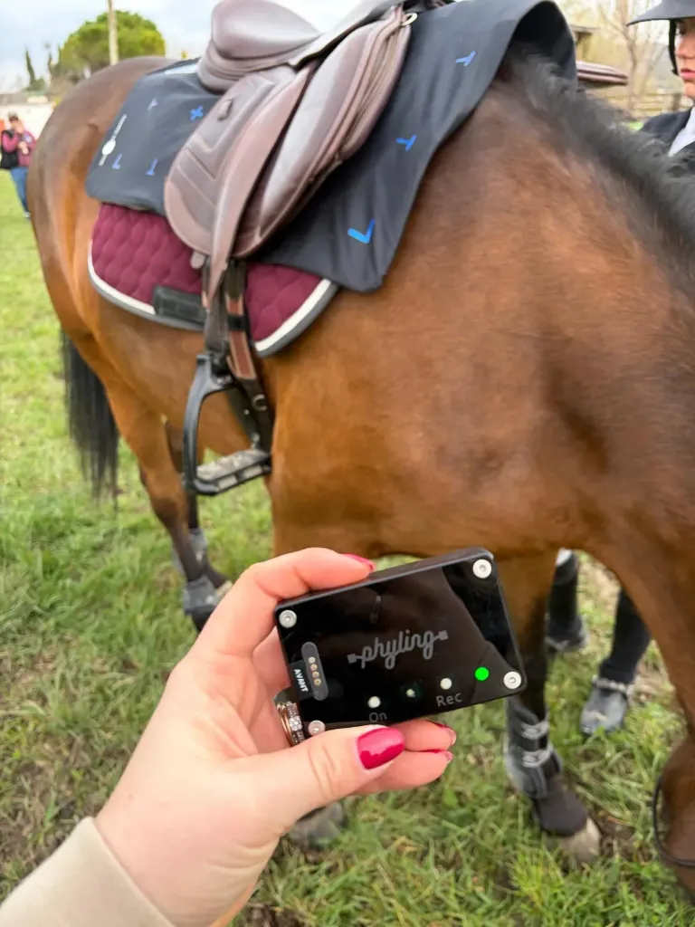 Pack Ally Press-Sure + Core